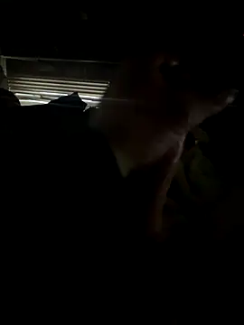 dickemdowncharleybrown online show from 12.17.25