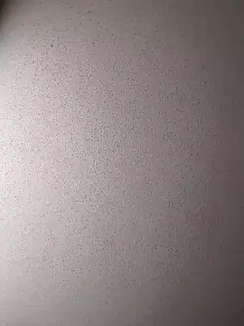 Dogz n daugthers online show from 12.17.24