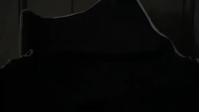 Dogz n daugthers online show from 04.01.26