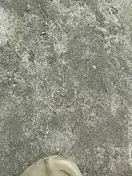 rana cute online show from 12.22.24