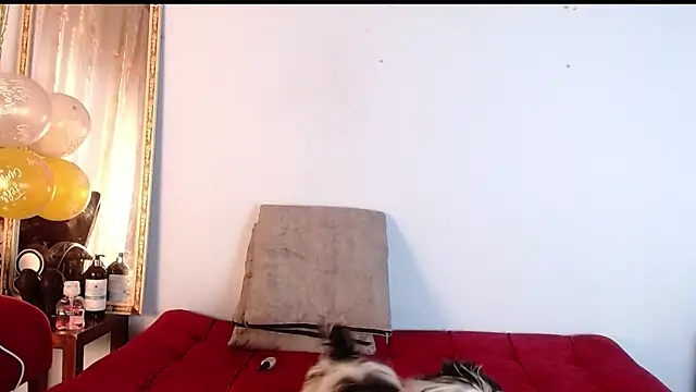 Tamararios online show from 11.27.25