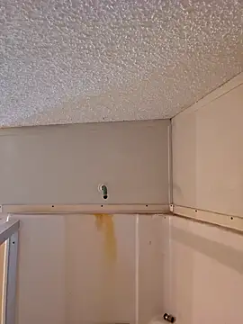 Snapshot of Dixiefaye_Pika chatting on 02.18.25 Dixiefaye Pika online show from 02.18.25