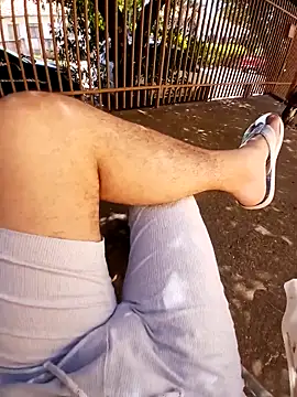 braza66 online show from 04.05.26