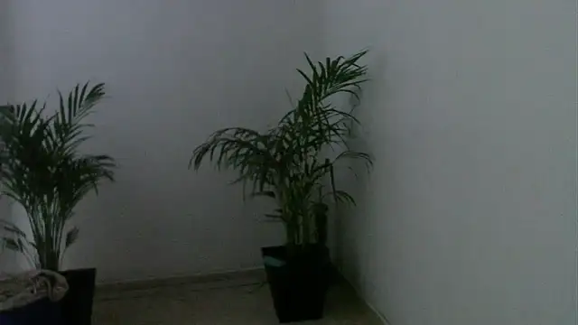 skylarhot420 online show from 03.05.25