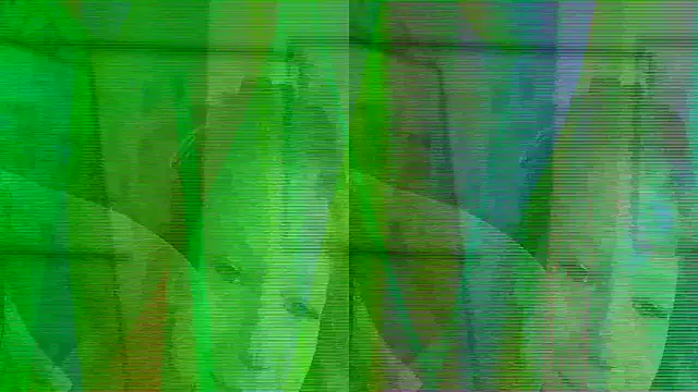 missicute online show from 04.02.26