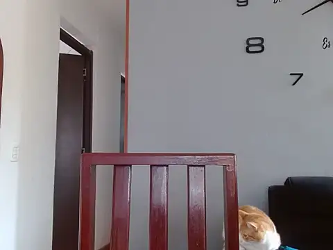 Laura martin  online show from 02.05.25