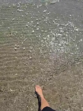 SexyErola27 online show from 03.24.26