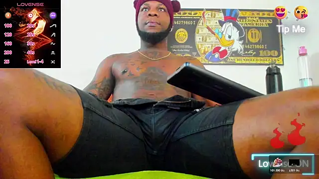 wotton 17 online show from 11.05.25