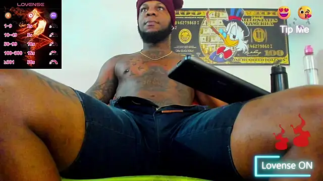 wotton 17 online show from 11.17.25