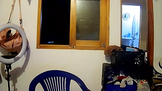 Snapshot of brittanycheeks chatting on 12.14.24 brittanycheeks online show from 12.14.24