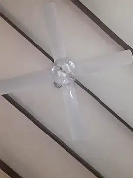 TuBandi2 online show from 11.11.25