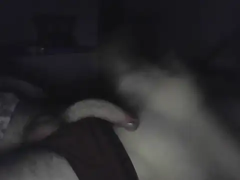 andrew9750 online show from 11.02.25