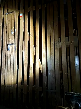 czruz online show from 09.20.25