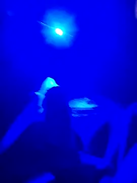 Snapshot of prcalek19 chatting on 11.20.25 prcalek19 online show from 11.20.25