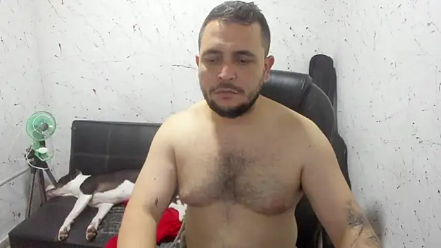  ace ventura online show from 03.11.26