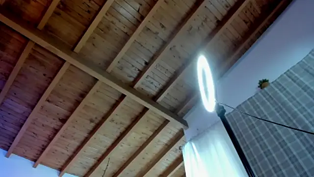 bruno woods online show from 03.02.26