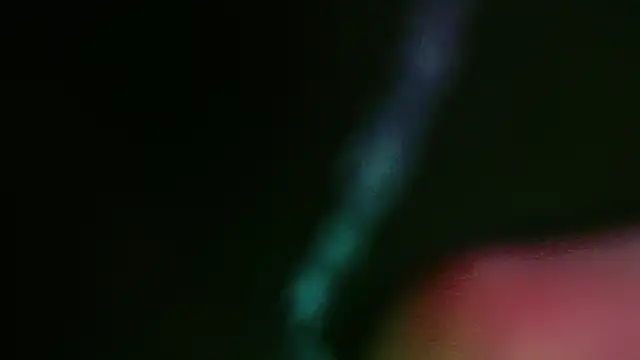 Snapshot of Ultorahand_xoxo chatting on 12.21.24 Ultorahand xoxo online show from 12.21.24