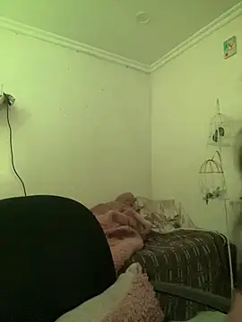 CieloTaylor online show from 02.27.26