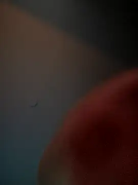 lolabun247 online show from 11.02.25