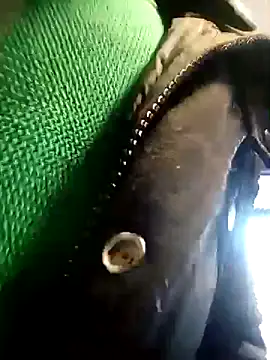 Snapshot of BZHsex chatting on 03.09.25 BZHsex online show from 03.09.25