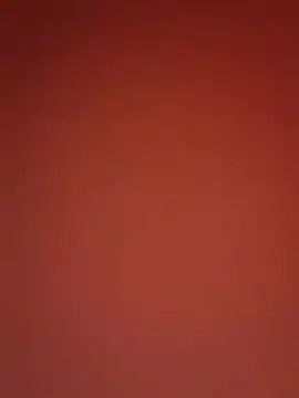 Snapshot of kikkastar chatting on 12.25.24 kikkastar online show from 12.25.24