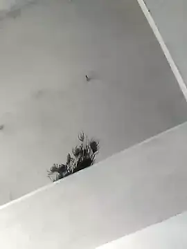 Mafiya1604 online show from 10.22.25