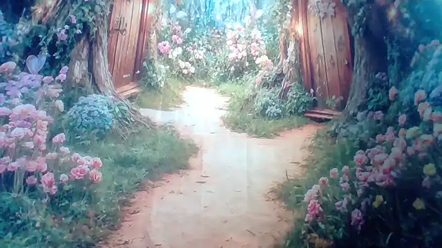 Paisleehaze online show from 04.07.26