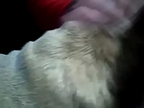 missthickness35 Pika online show from 01.13.25