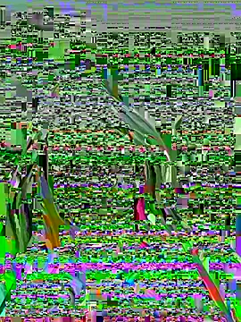 Vikki toriya online show from 03.01.26