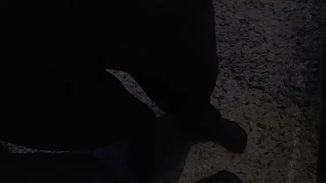 Snapshot of Bjuiced chatting on 11.04.25 Bjuiced online show from 11.04.25