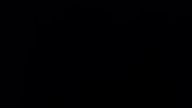 zacwatson  online show from 01.24.25