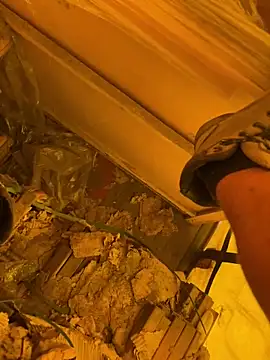 cussy007 online show from 04.13.26