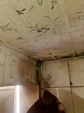 indiasexmf online show from 10.11.25