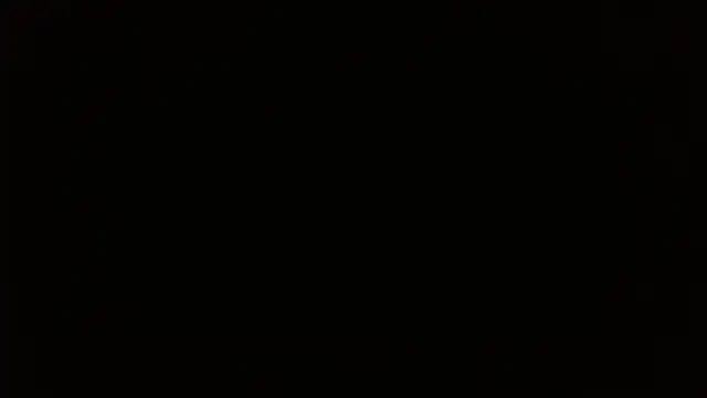 Snapshot of Mr_WhiteCock chatting on 01.19.25 Mr WhiteCock online show from 01.19.25