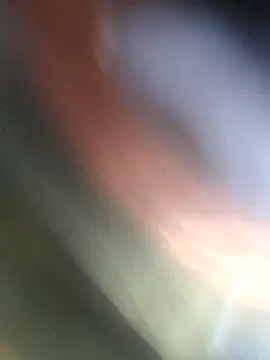 jasss-11 online show from 11.04.25