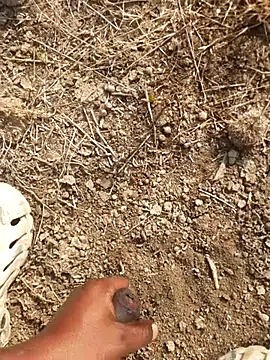 Ajith mvi online show from 02.18.26