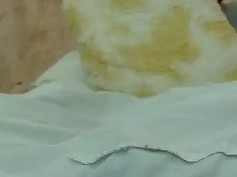 hairy pussywet online show from 02.04.25