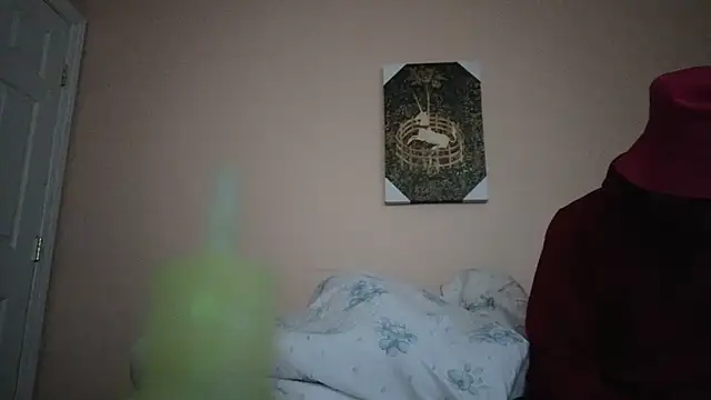 Snapshot of hailzeffn chatting on 11.01.25 hailzeffn online show from 11.01.25