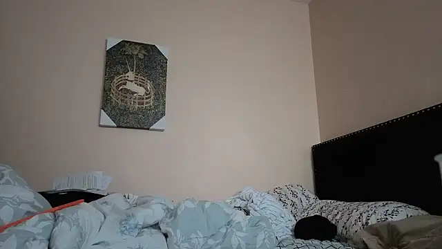 Snapshot of hailzeffn chatting on 11.02.25 hailzeffn online show from 11.02.25