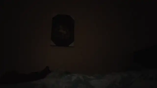 Snapshot of hailzeffn chatting on 11.13.25 hailzeffn online show from 11.13.25