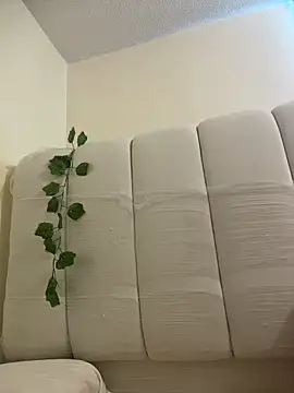 Megan Rodrigo online show from 04.06.26