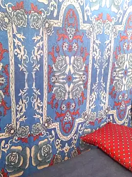 Snapshot of Burhade-- chatting on 10.20.25 Burhade-- online show from 10.20.25