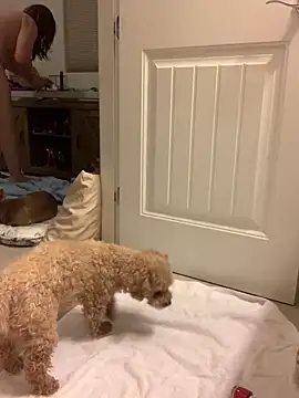 balad13 online show from 01.21.25