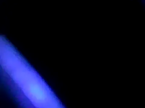 Javier bear online show from 01.04.25