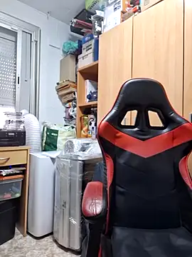 Javier bear online show from 11.06.25