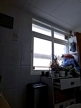 Javier bear online show from 11.22.25