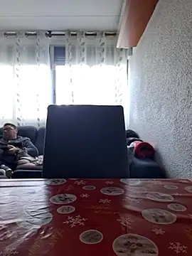 Javier bear online show from 01.11.26