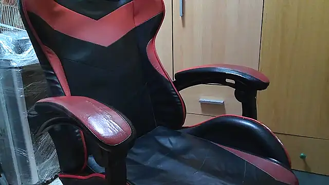 Javier bear online show from 03.16.26