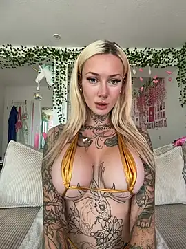 Stella-Kink online show from 07.11.26