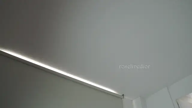 roselinedior online show from 09.26.25